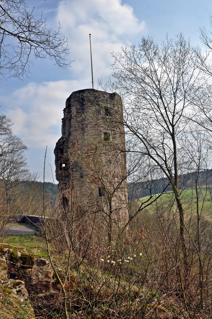 Burgruine Wallenstein