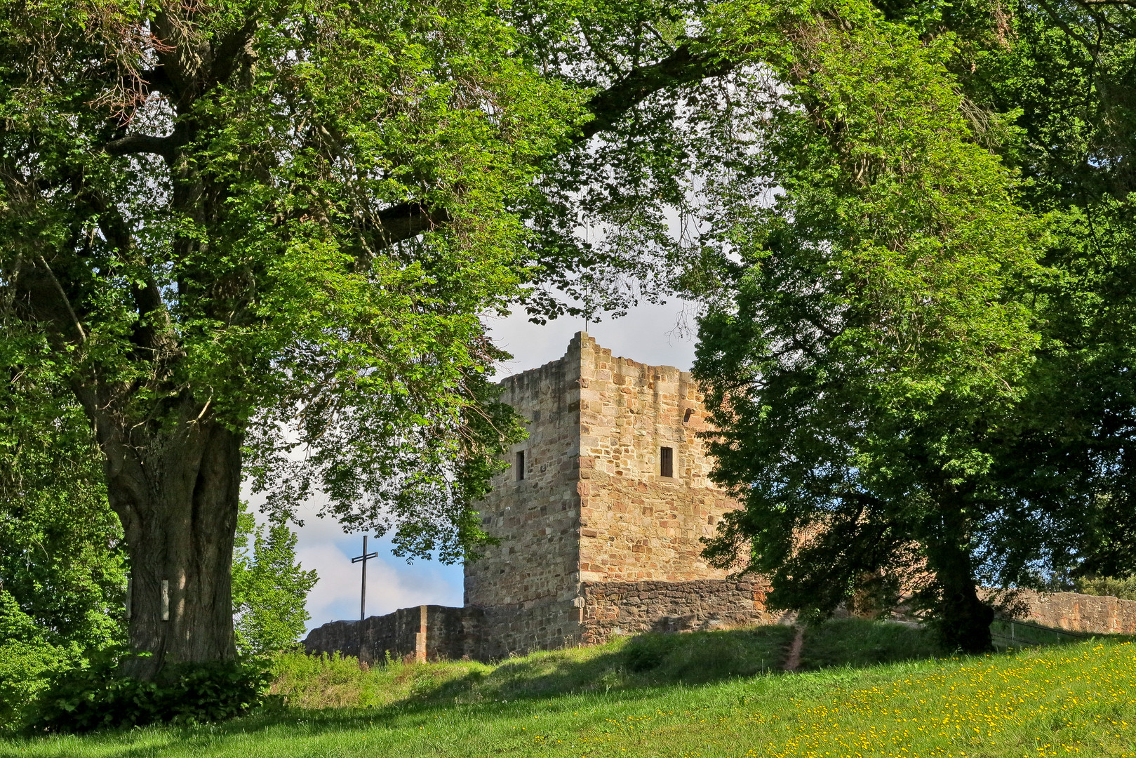 Burgruine Wartenberg