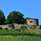 Burgruine Weibertreu bei Weinsberg