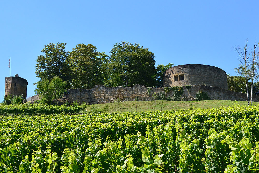 Burgruine Weibertreu bei Weinsberg - Hoch über den Weinbergen