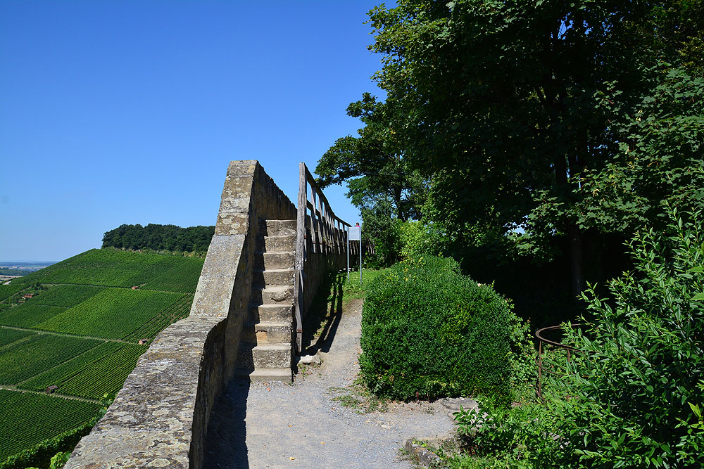 Burgruine Weibertreu bei Weinsberg - Wehrgang