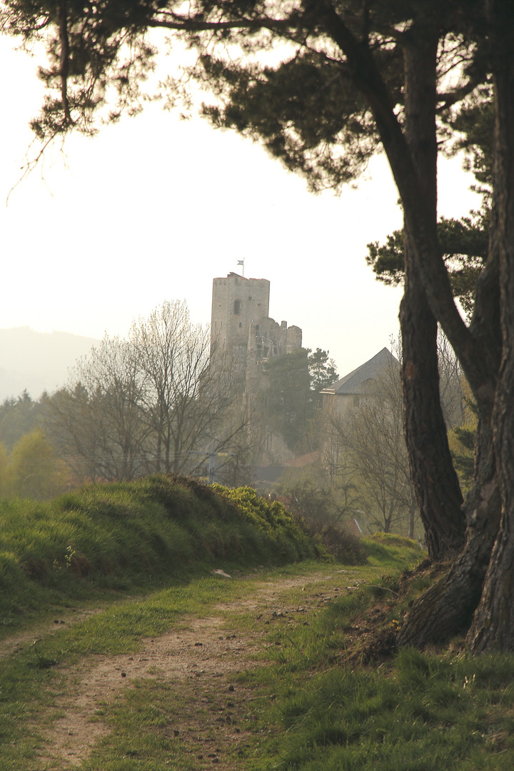 Burgruine Weißenstein