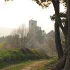 Burgruine Weißenstein