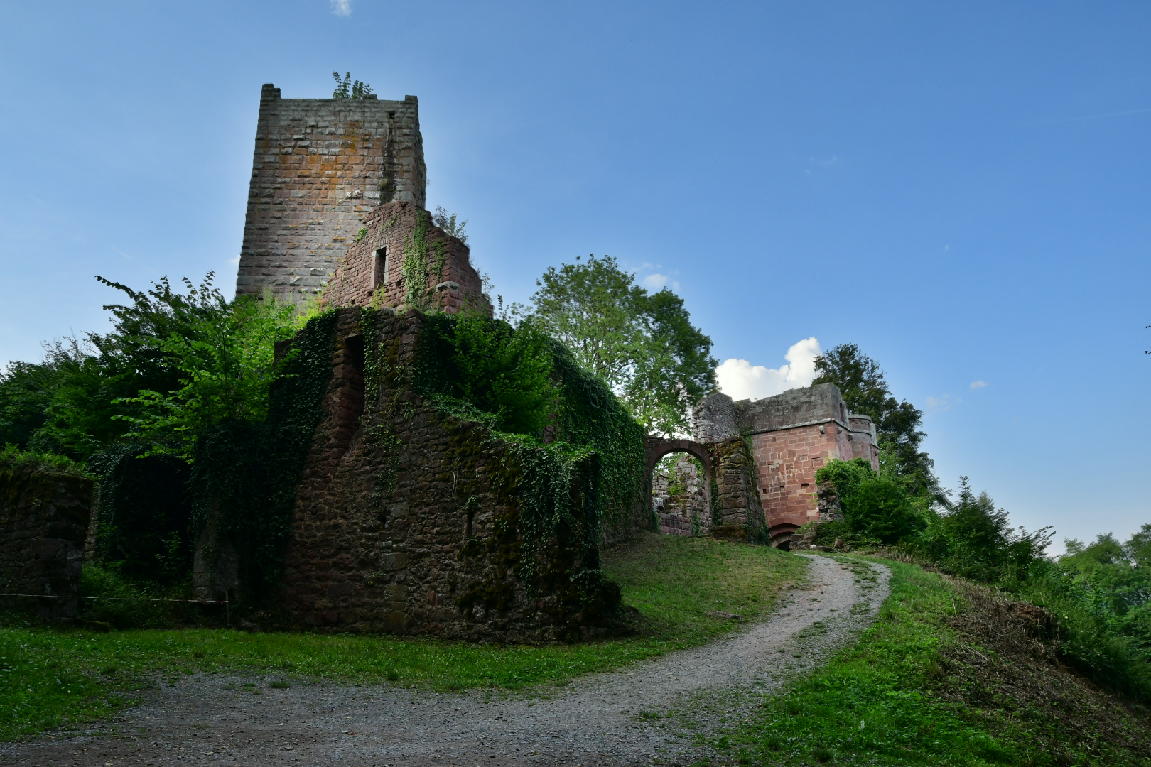 Burgruine Wildenberg