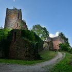 Burgruine Wildenberg