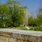 Burgruine Wohldenberg im niedersächsischen Sillum bei Holle