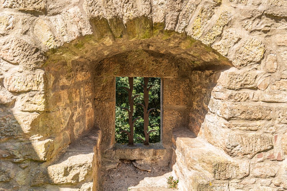 Burg/Schloss Adelebsen VI