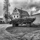 Burg/Schloss in Polen Teil II