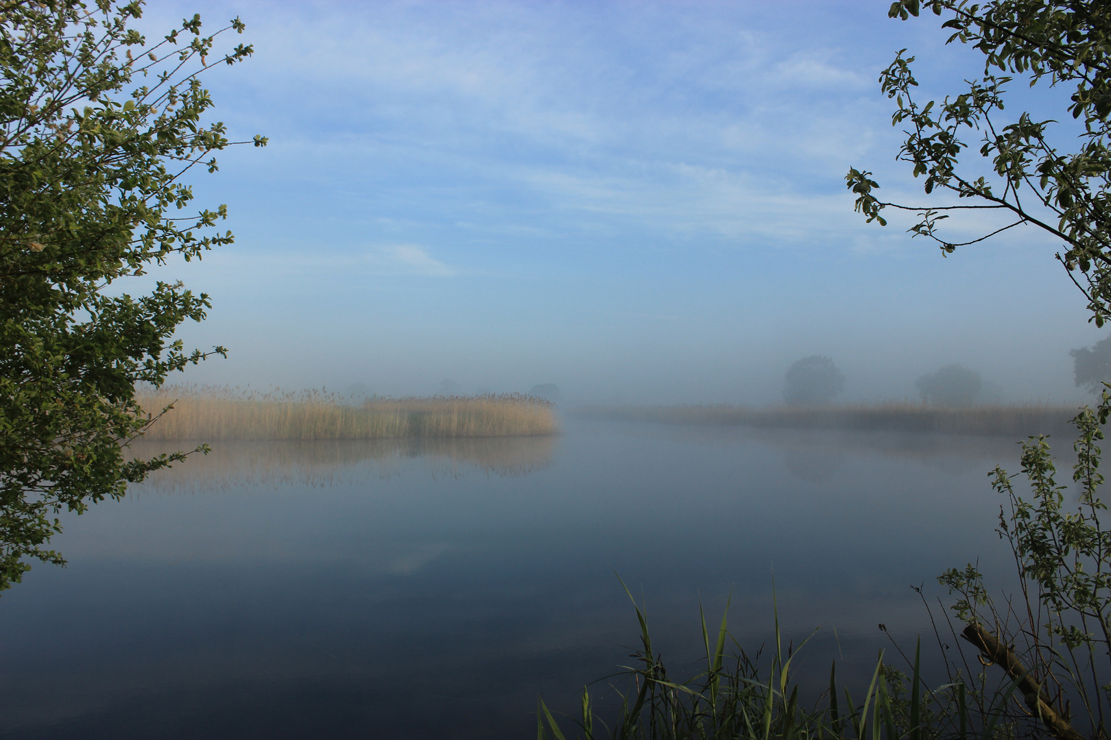 Burgsee in Frühnebelstimmung