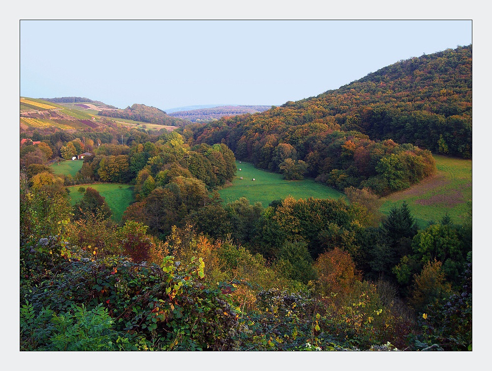 Burgsponheim - Blick ins Tal