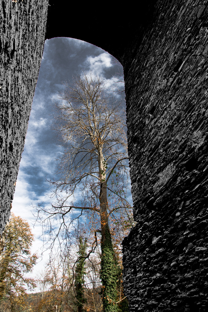 BURG_STADT_SCHLAINING_BURGGRABEN_0003 30x45