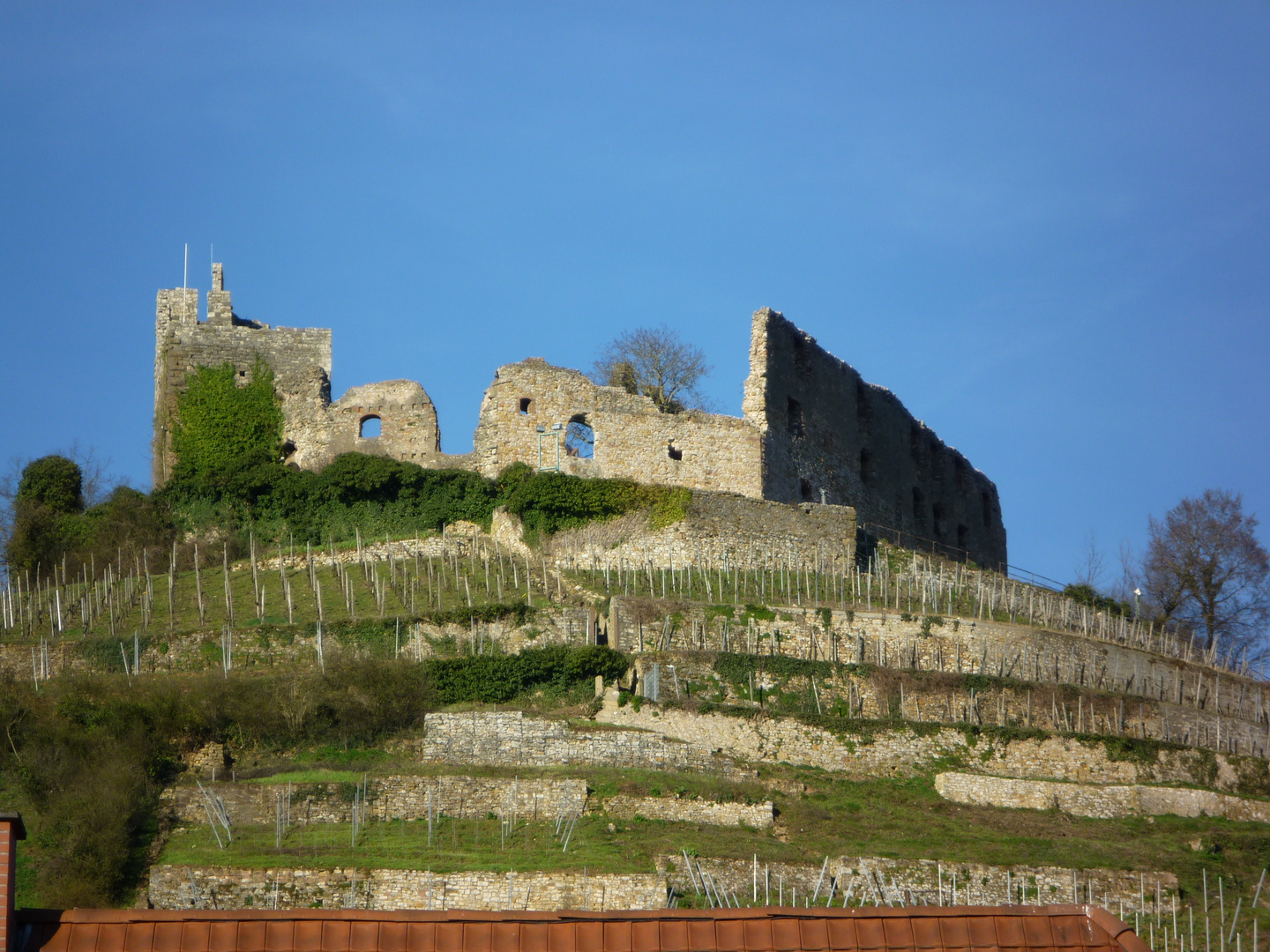 BurgStaufen