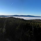 Burgsteinfelsen im Fichtelgebirge