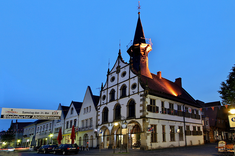 Burgsteinfurt III