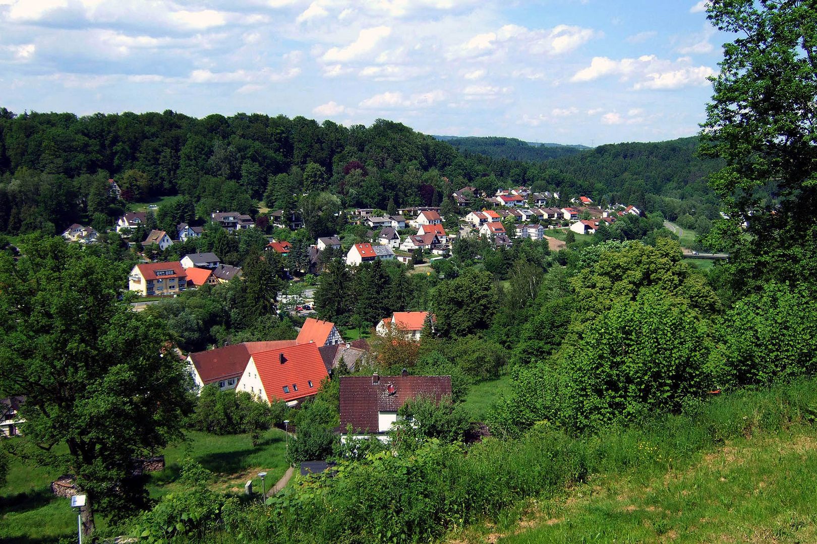 Burgthann im Frühsommer