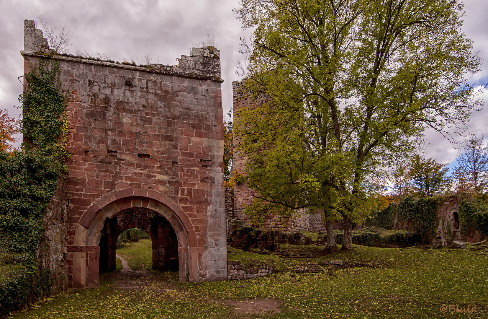 Burgtor der Ruine Wildenberg