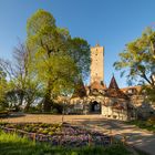 Burgtor im Abendlicht