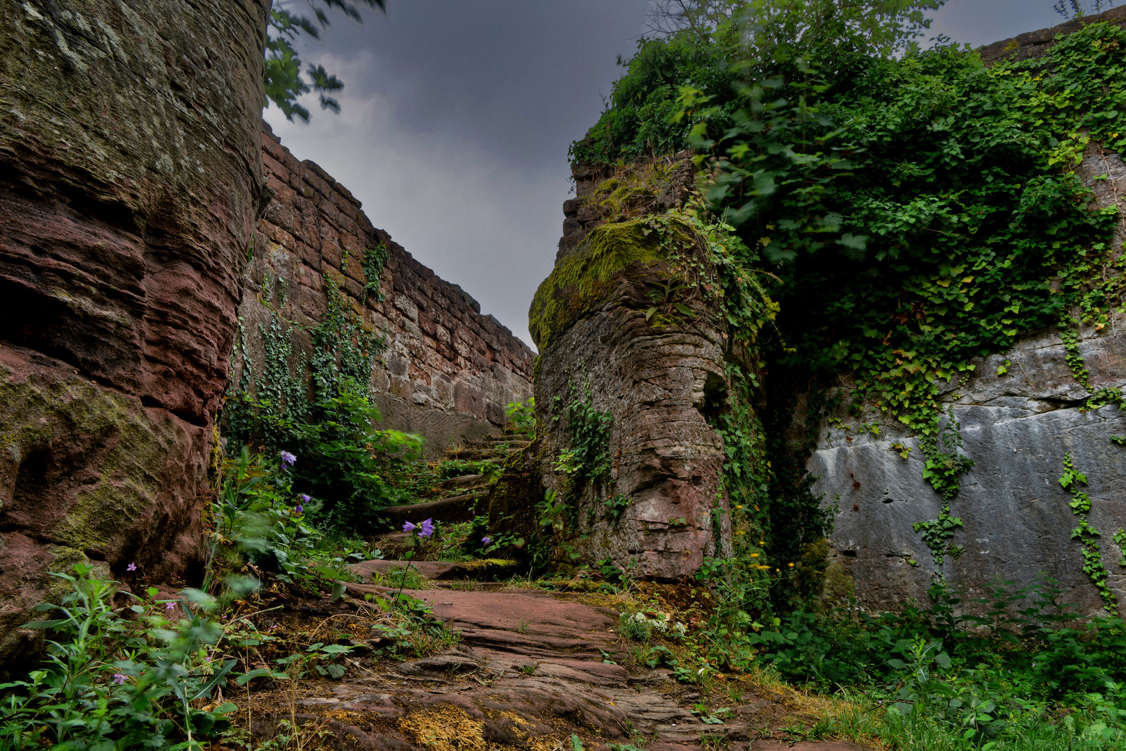 Burgtreppe 