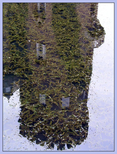 Burgturm im Burggraben