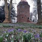 Burgturm im Frühlingslook