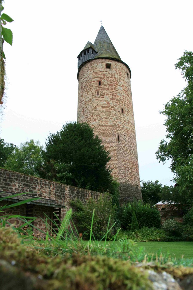 Burgturm imn Bruch bei Wittlich