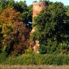 Burgturm Wolfshagen i.d. Priegnitz