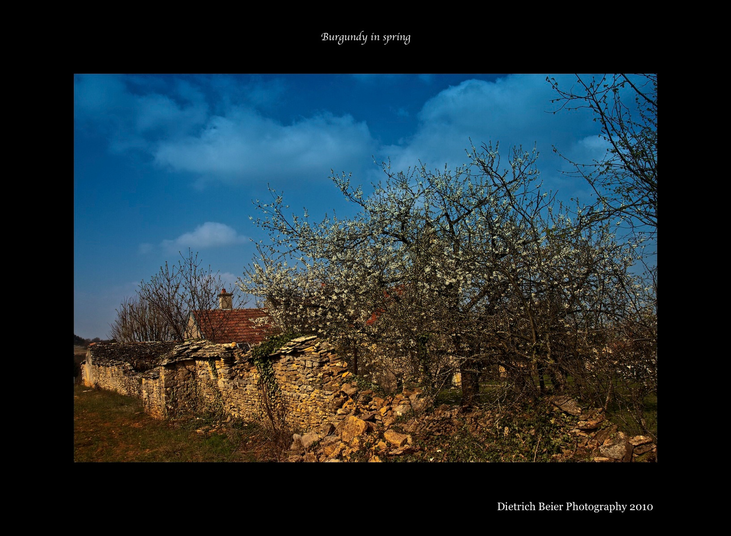 Burgund im Frühling