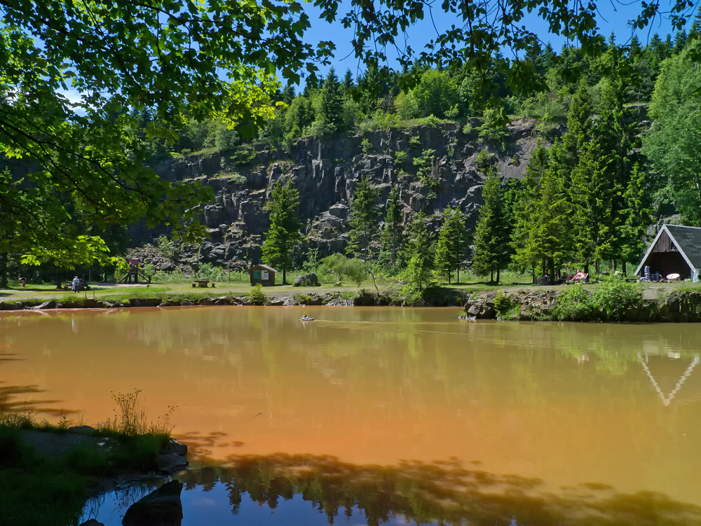 Burgunderblutalgenblüte im Bergsee