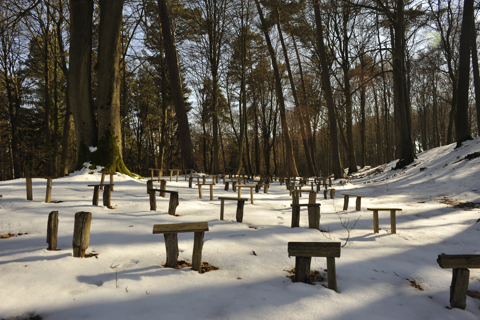 Burgwald am Christenberg März 2013