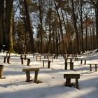 Burgwald am Christenberg März 2013