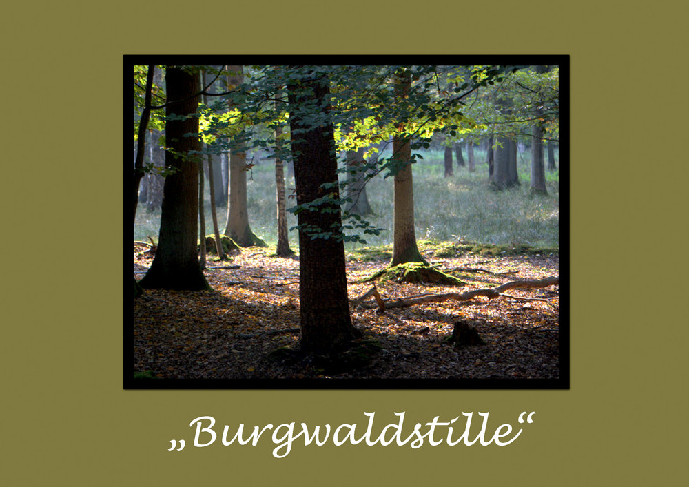 Burgwald Dinklage