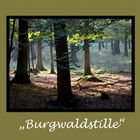 Burgwald Dinklage