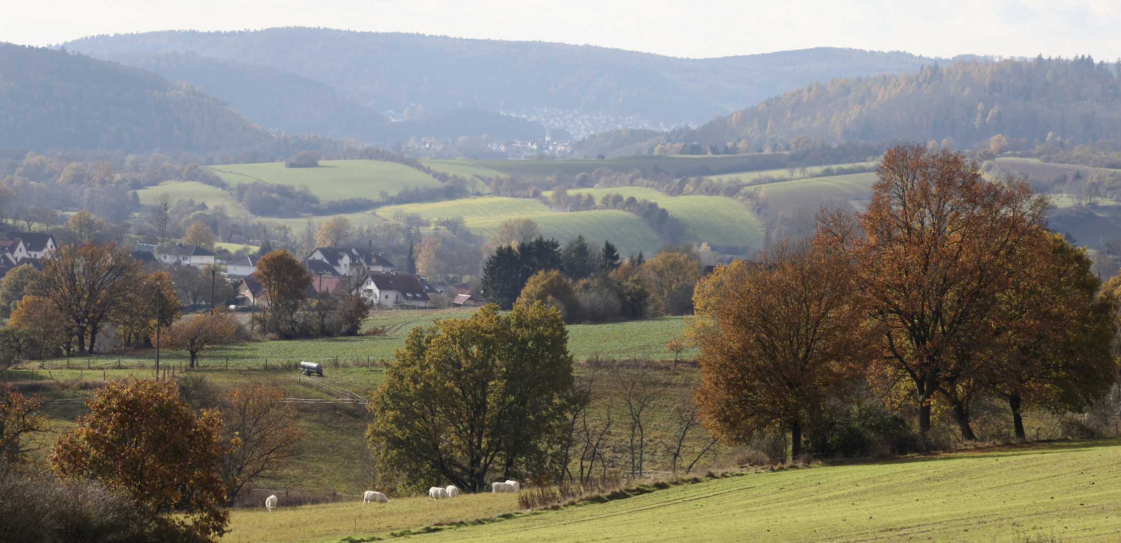 Burgwald - Hessen (Rauschenberg?)