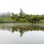 Burgwallinsel im Nebel