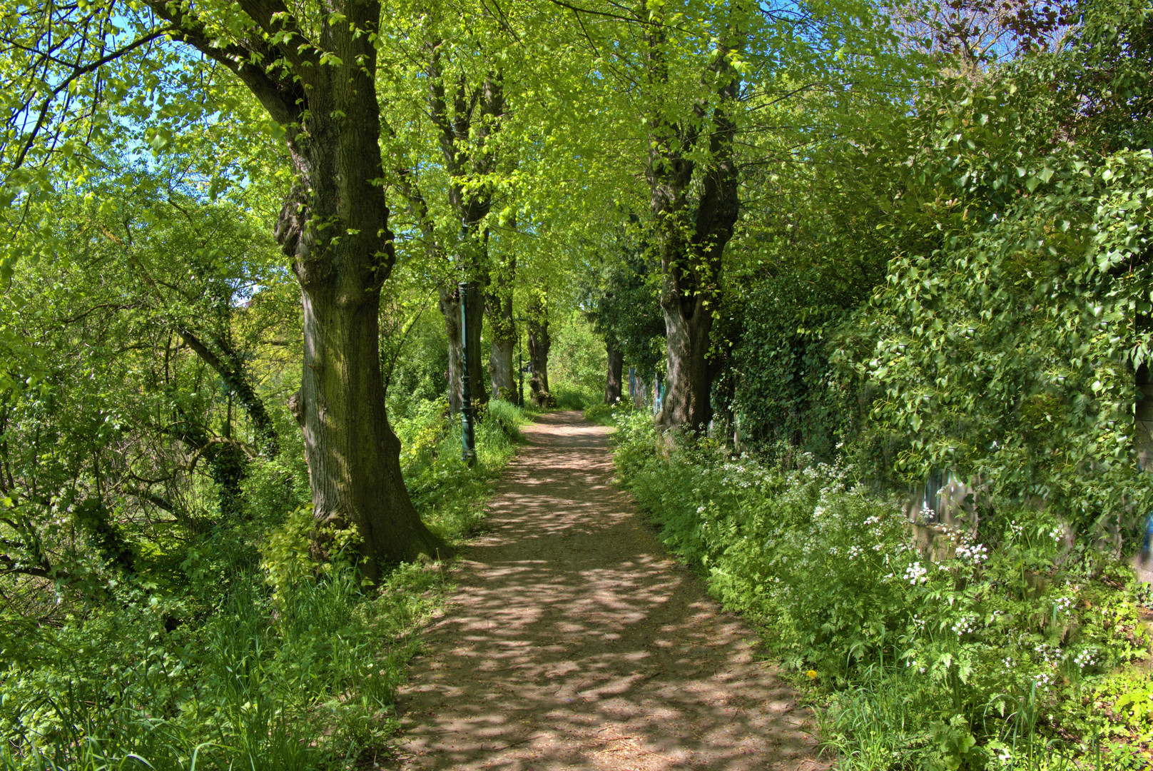 Burgweg