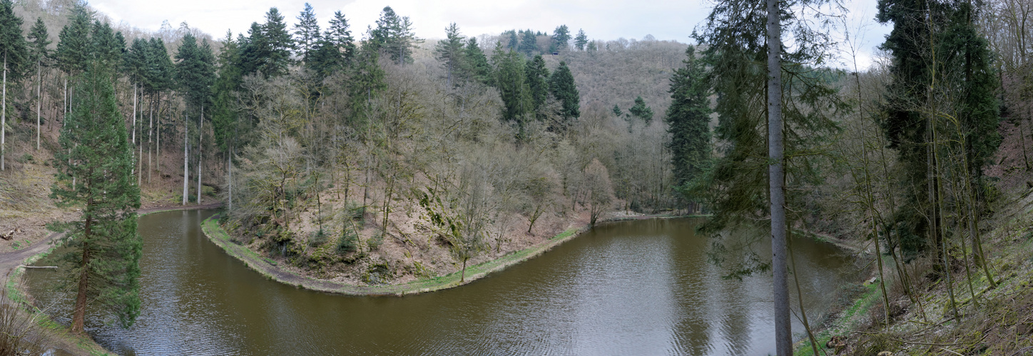 Burgweiher, Manderscheid, Eifel