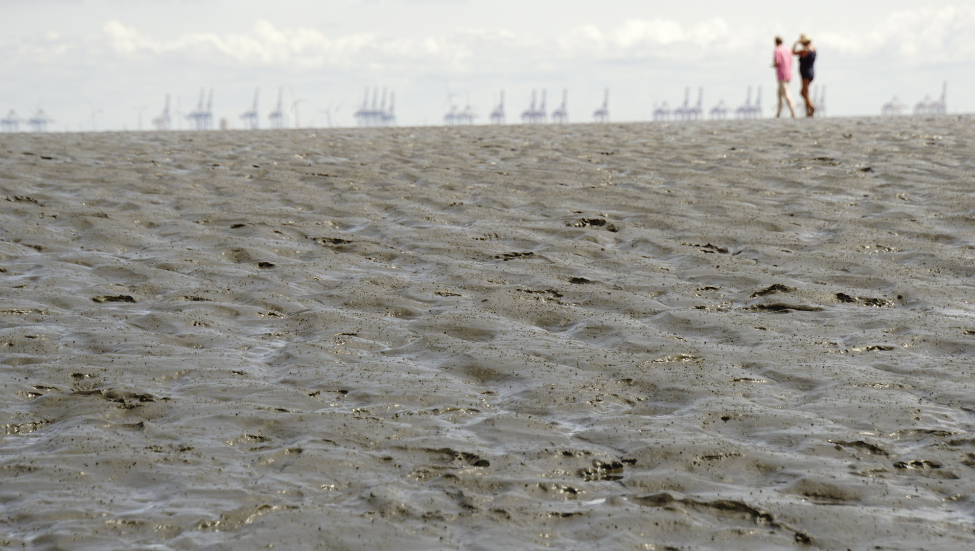 Burhave - Blick auf Bremerhaven im Watt