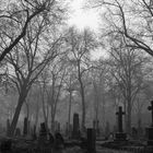 burial ground