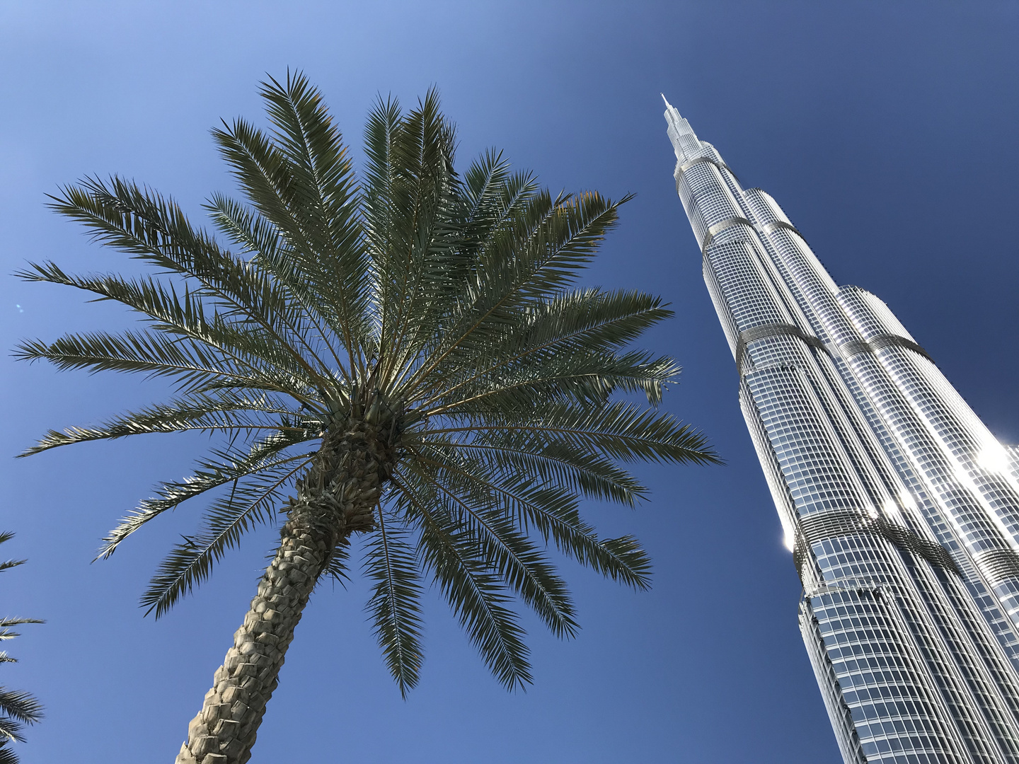 Burj Khalifa mit Palme