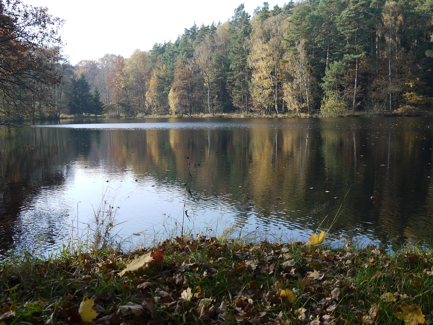 Burkersdorf,nur mal so..