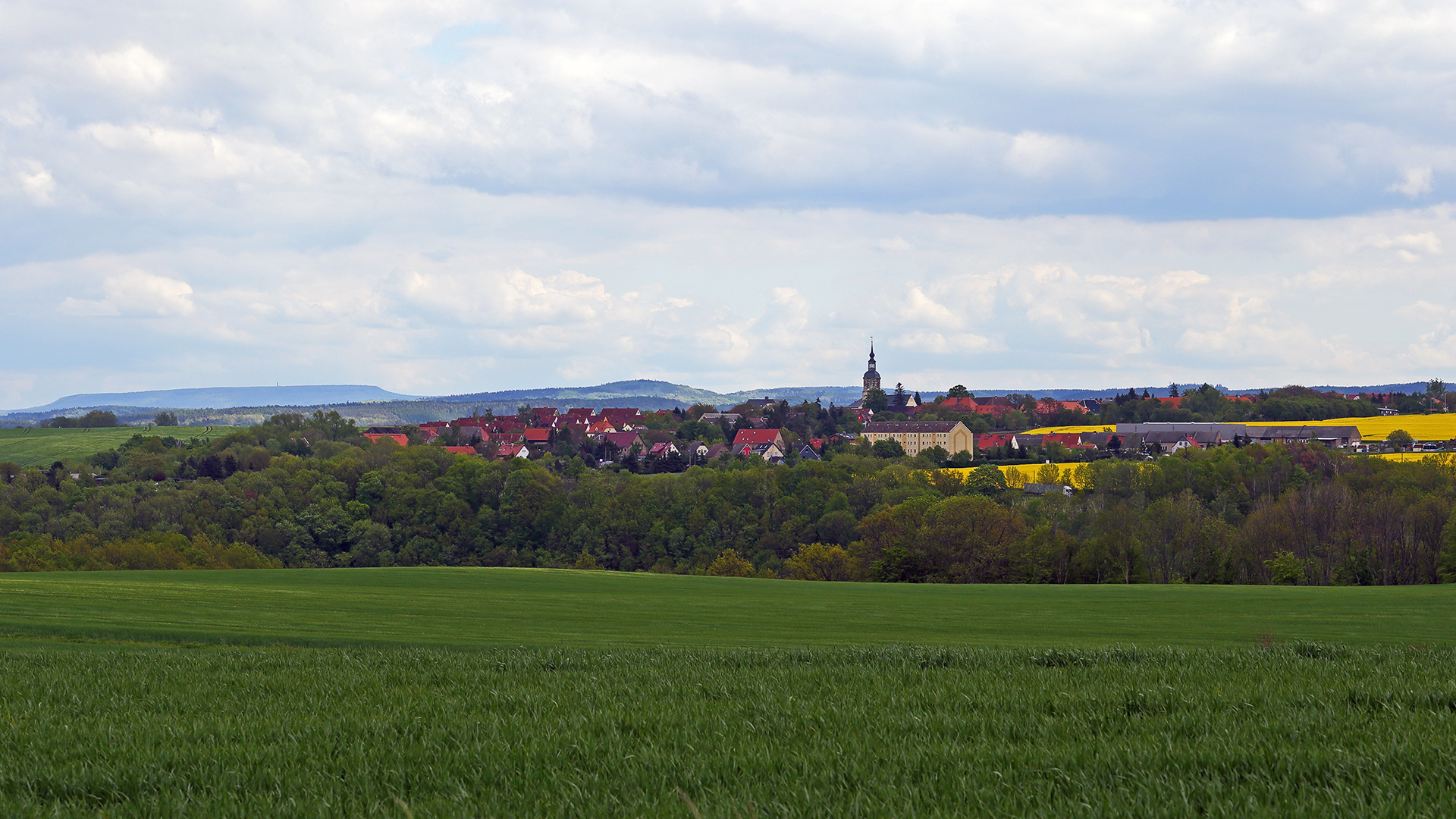 Burkhartswalde  und  Hoher Schneeberg, höchster Gipfel des Elbsandsteigebirges