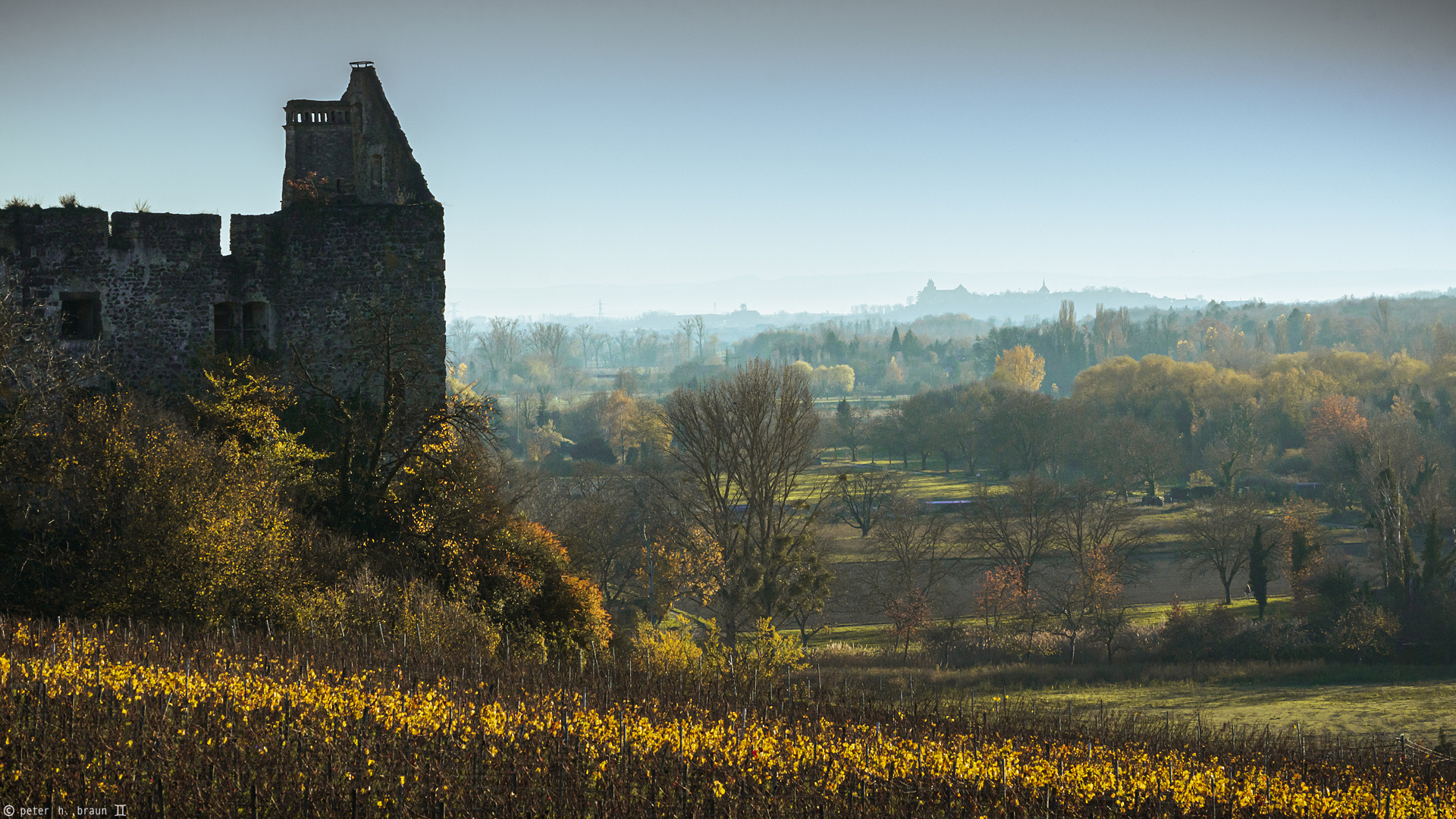 Burkheim am Kaiserstuhl