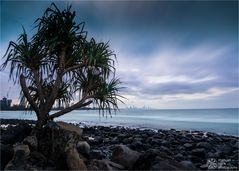 burleigh heads