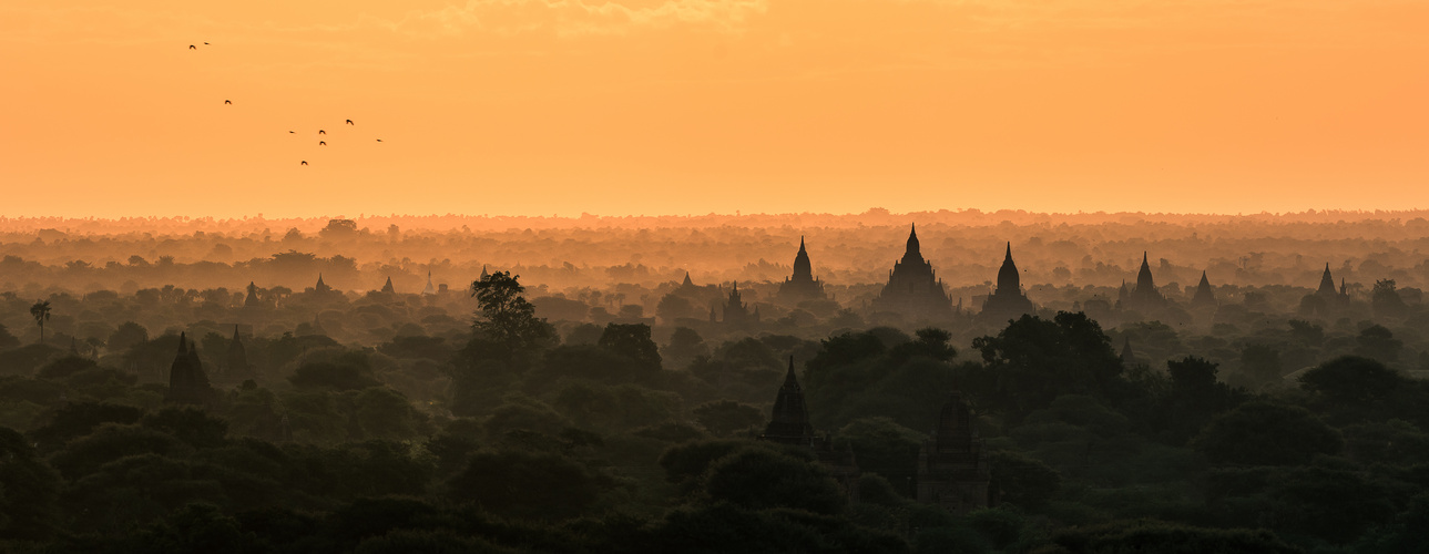 Burma - Bagan Birds Flying