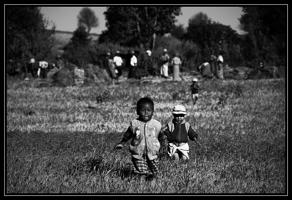 Burma - Unsere kleine Farm