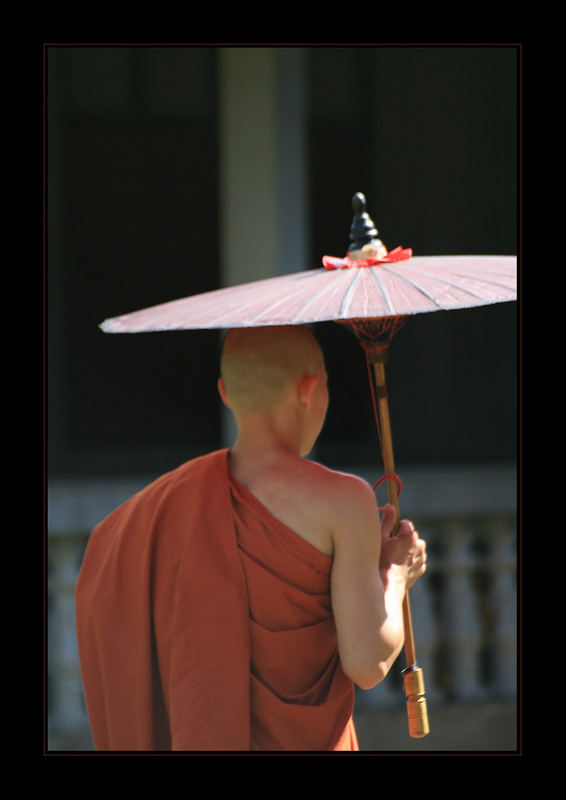 burmese monk