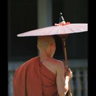 burmese monk