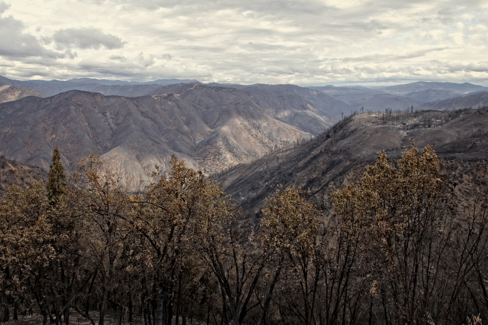 Burned Yosemite