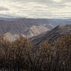 Burned Yosemite