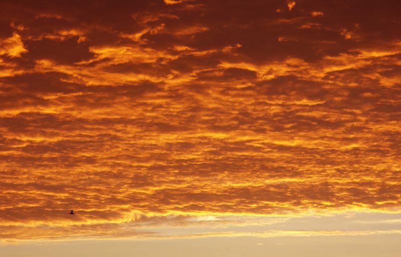 Burnham Sunrise